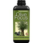 Olive focus 1000 ml