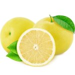 Citrus paradisi geel - stam 15-25 cm - totale hoogte 40-50 cm - pot &Oslash; 16 cm