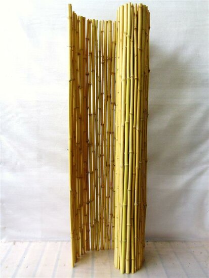 Bamboe Rolscherm naturel 180 x 180 cm [pallet]