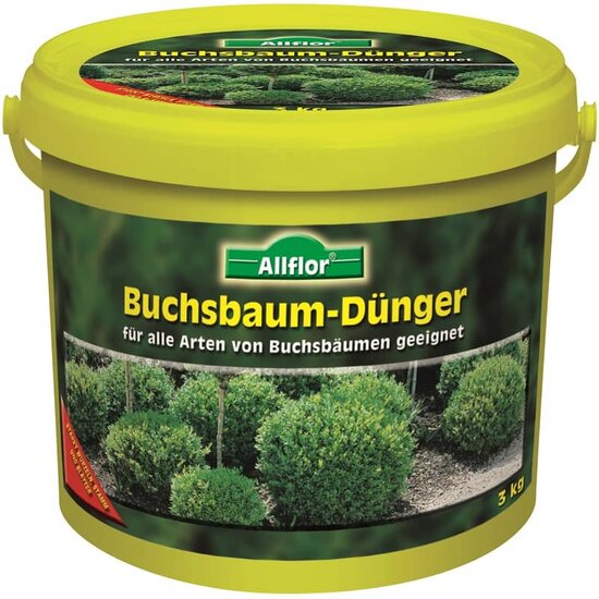 Allflor Buchsbaum D&uuml;nger