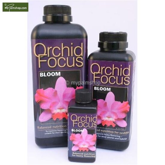 Orchid Focus Bloom 1 Ltr