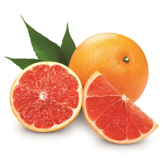 Citrus paradisi rood - stam 15-25 cm - totale hoogte 50-60 cm - pot 11 x 11 cm
