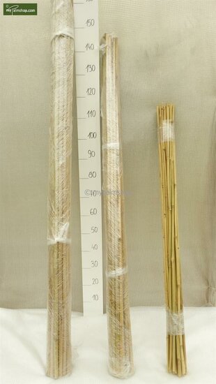 Bamboestokken 25 x - 180 cm x &Oslash; 18-20 mm [pallet]