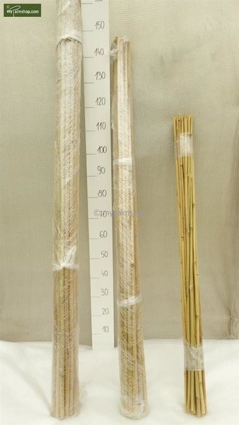 Bamboestokken 25 x - 120 cm x Ø 12-14 mm