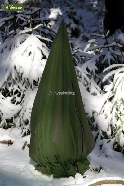Winterbescherming voor planten piramide vorm hoogte 150 cm