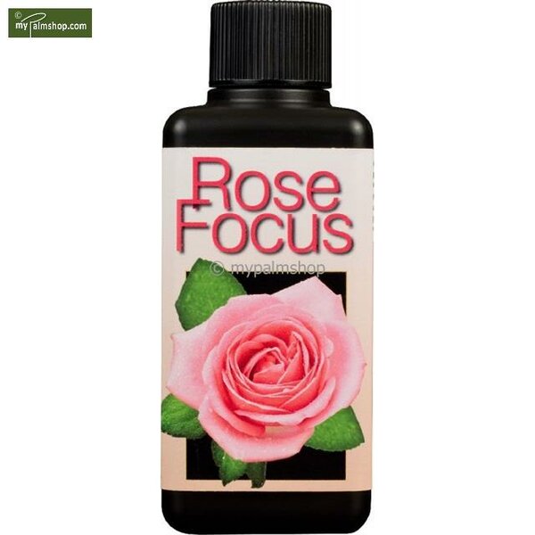 Rose Focus 300 ml
