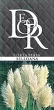 Cortaderia selloana - pot 1 ltr_