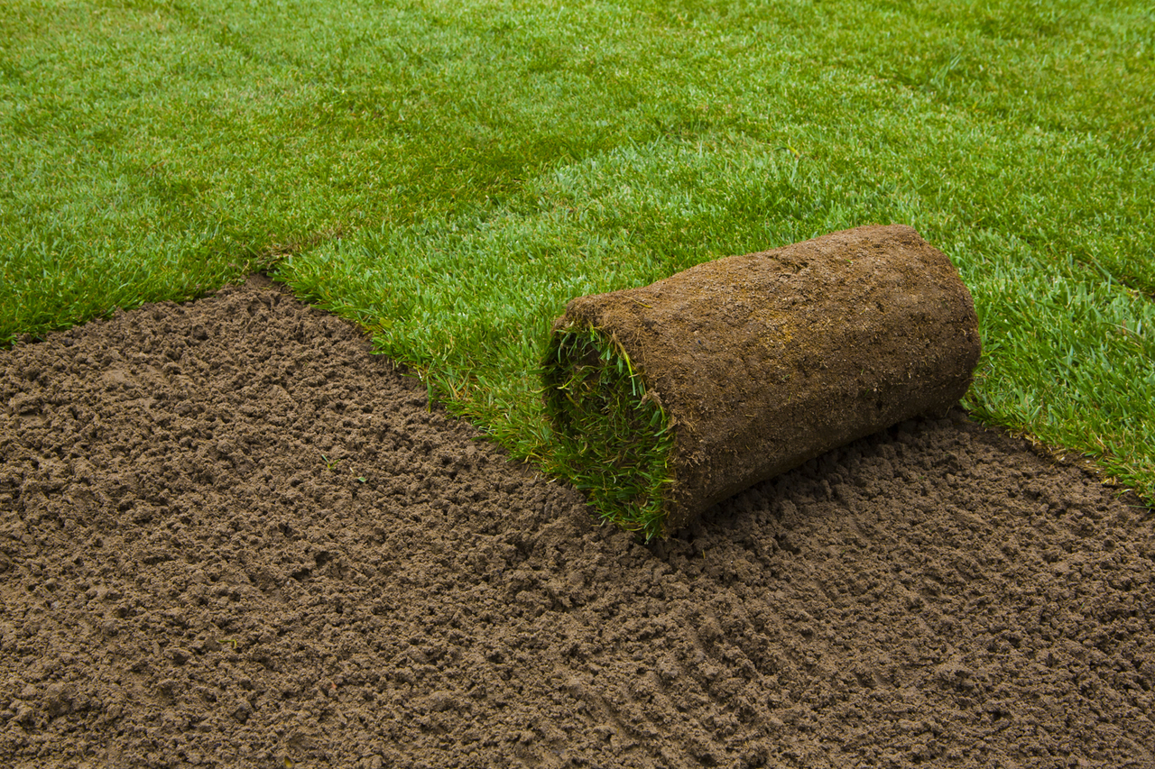 Graszoden en graszaden