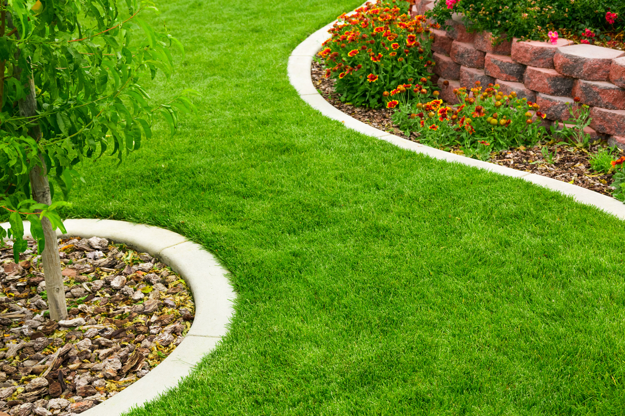 Gras accessoires