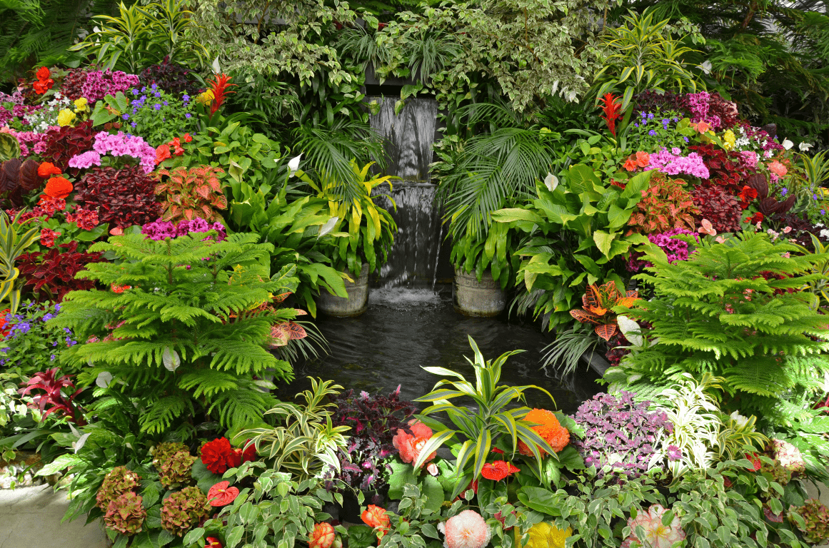 Planten