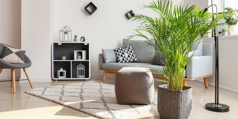 Decoratie