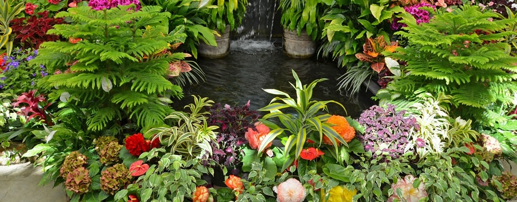 Planten
