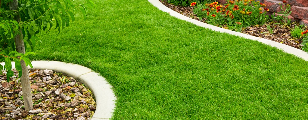 Gras accessoires
