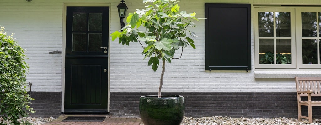 Sierpotten