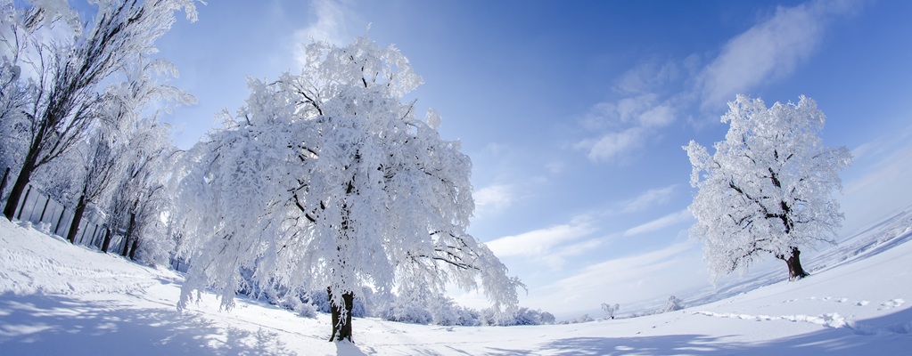 Winterbescherming