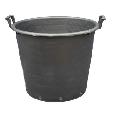 5009 - 5010 - 5011 - grote palm pot ritzi-min