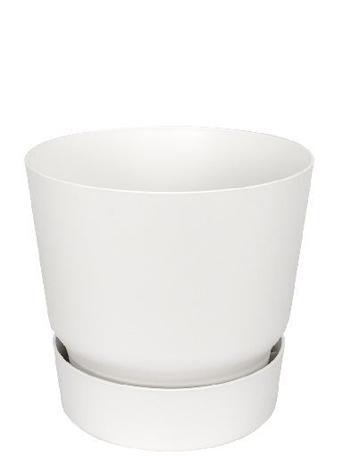 Greenville pot wit