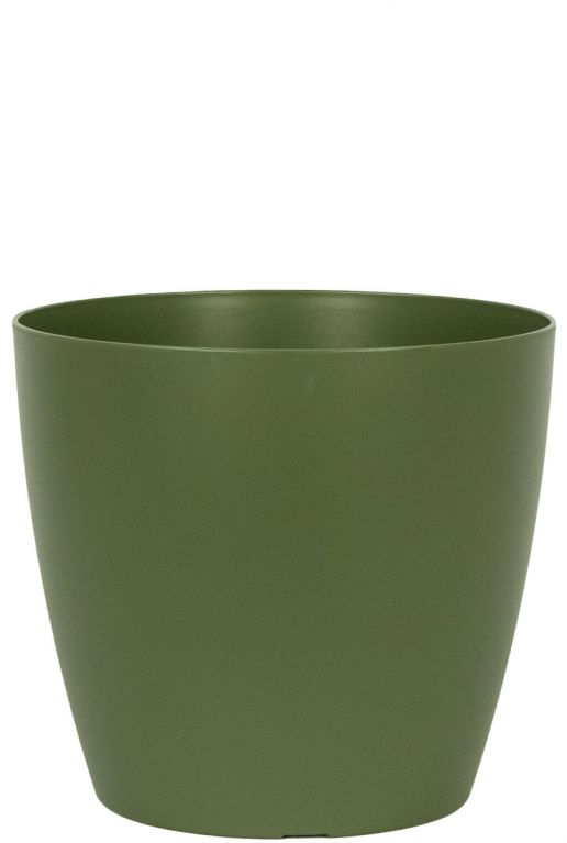 San Remo Groen