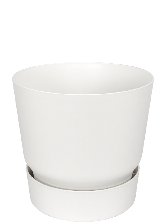 Greenville pot wit