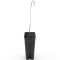9296 - roystonea regia-min
