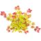 Acer shirasawanum moonrise top-min