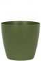 San Remo Groen