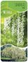 Wisteria sinensis alba label 1